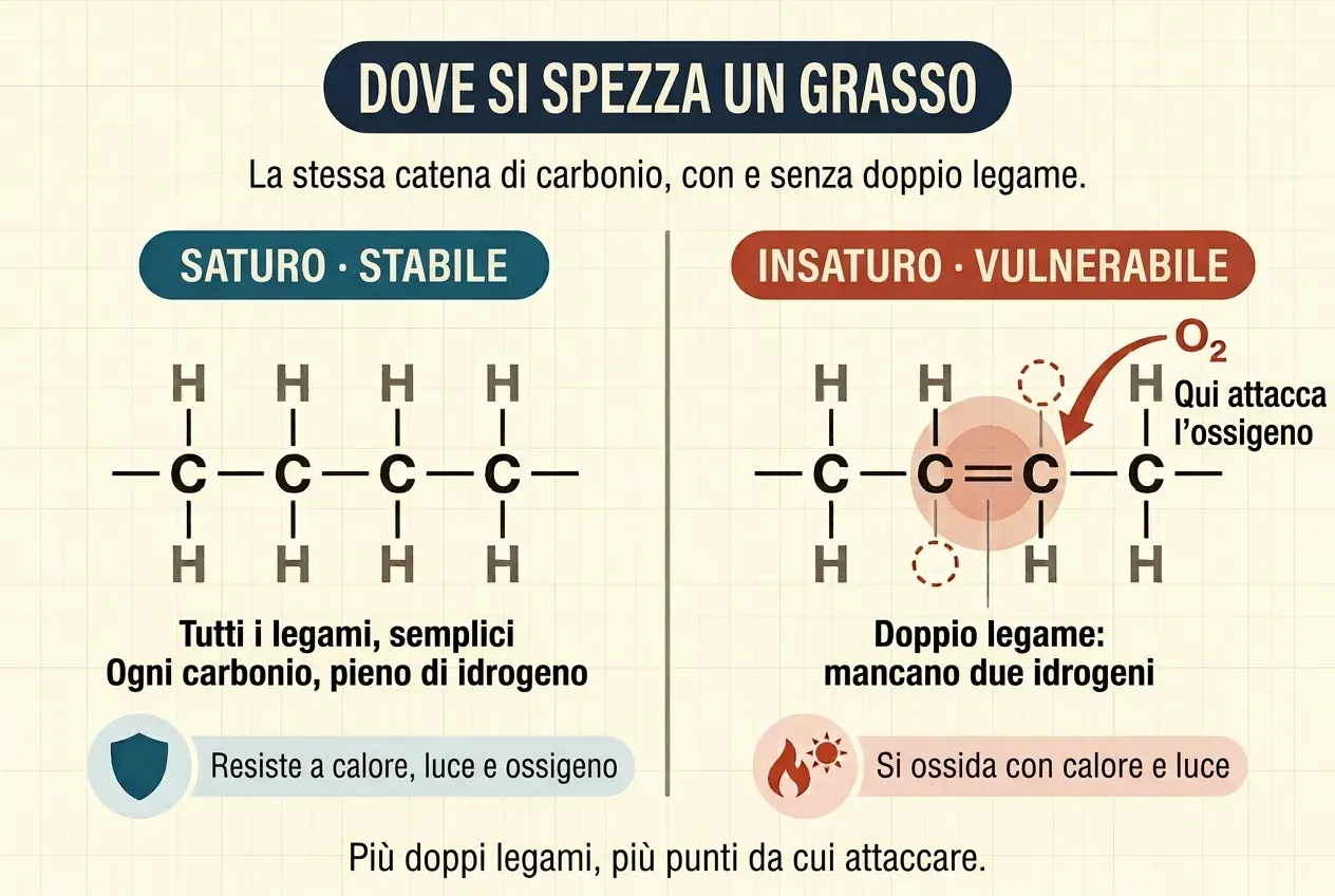 Confronto tra due catene di carbonio su fondo crema. A sinistra, sotto l'etichetta «Saturo · stabile», quattro atomi di carbonio in linea retta uniti da legami semplici, ciascuno con un idrogeno sopra e uno sotto: otto in tutto. A destra, sotto l'etichetta «Insaturo · vulnerabile», la stessa catena, ma il secondo e il terzo carbonio sono uniti da un doppio legame e hanno perso un idrogeno ciascuno; i due vuoti sono segnati con cerchi rossi tratteggiati. Una freccia rossa con la scritta O₂ punta al doppio legame.