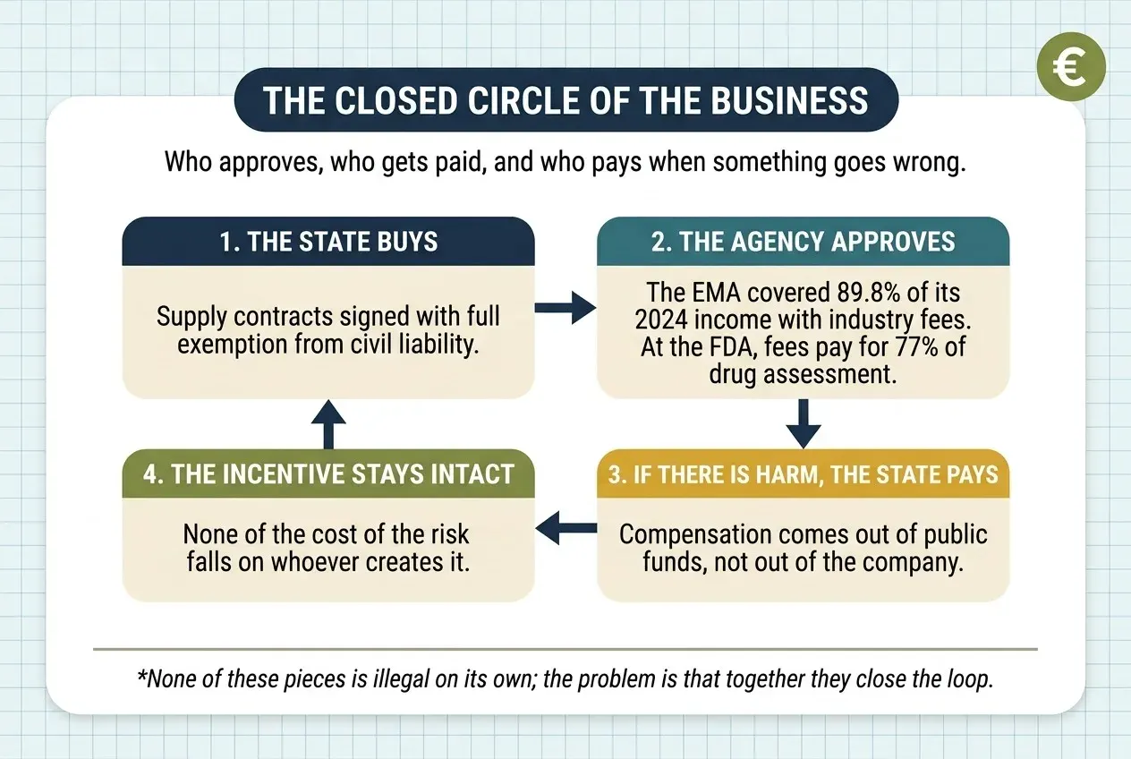 Diagram of four steps linked in a closed loop. One: the state buys, with supply contracts signed under full exemption from civil liability. Two: the agency approves; the EMA covered 89.8% of its 2024 income with industry fees and at the FDA fees pay for 77% of drug assessment. Three: if there is harm, the state pays, because compensation comes out of public funds and not out of the company. Four: the incentive stays intact, since none of the cost of the risk falls on whoever creates it, and the circuit returns to the first step.