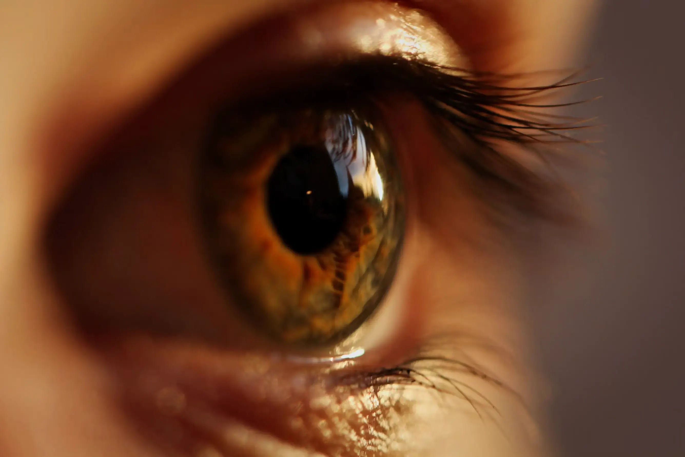 Close-up of a human eye with a golden-brown iris, lit by warm light.