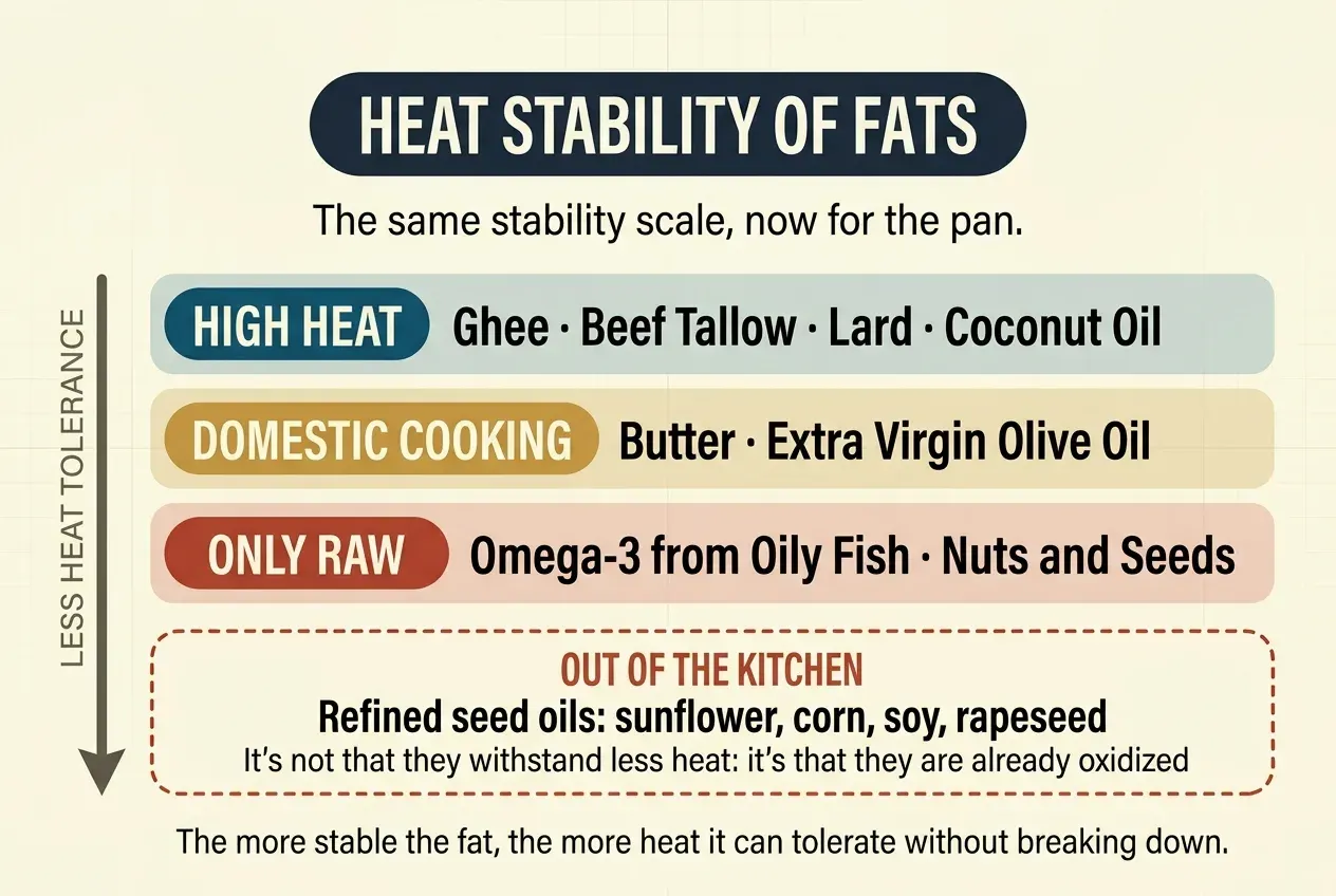 A scale of the heat stability of fats on a cream background, with a vertical arrow on the left labelled «less heat tolerance». Three stacked bands: in teal, «high heat» with ghee, beef tallow, lard and coconut oil; in ochre, «domestic cooking» with butter and extra virgin olive oil; in red, «only raw» with omega-3 from oily fish and nuts and seeds. Below, set apart with a dashed border, a block headed «out of the kitchen» listing refined seed oils: sunflower, corn, soy and rapeseed.