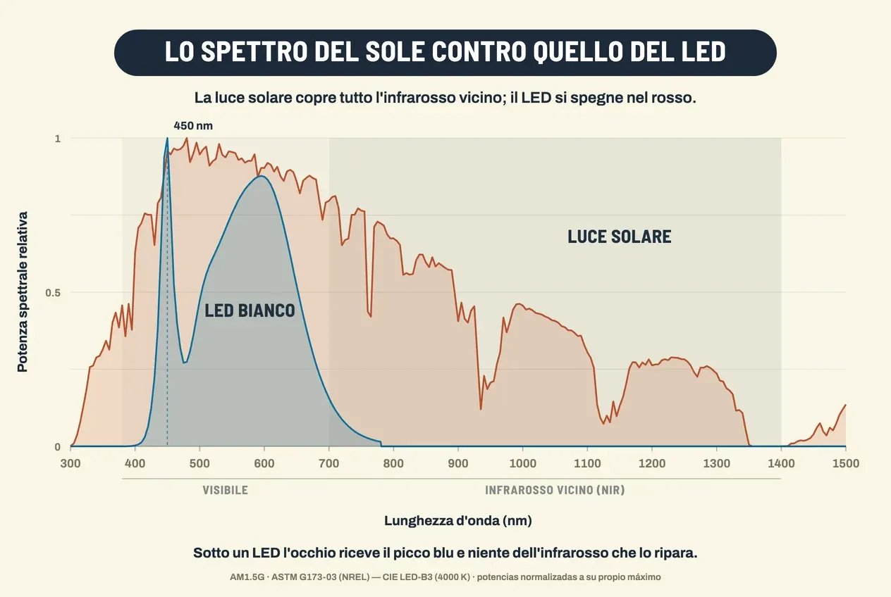 Grafico che confronta due spettri, ciascuno normalizzato al proprio massimo, tra 300 e 1500 nanometri. La curva della luce solare, in rosso mattone, è continua: sale dall'ultravioletto, raggiunge il massimo verso i 480 nanometri e scende in modo irregolare lungo tutto l'infrarosso vicino, con intaccature marcate verso i 760, 940, 1130 e 1400 nanometri, dove l'ossigeno e il vapore acqueo dell'atmosfera assorbono radiazione; a 1500 nanometri emette ancora. La curva del LED bianco, in blu, è un picco stretto e alto a 450 nanometri, una valle verso i 480 e una gobba larga che culmina vicino ai 595; oltre i 780 nanometri scende a zero e resta piatta per il resto del grafico. Una banda ombreggiata segna l'infrarosso vicino, da 700 a 1400 nanometri, dove esiste solo la curva solare.