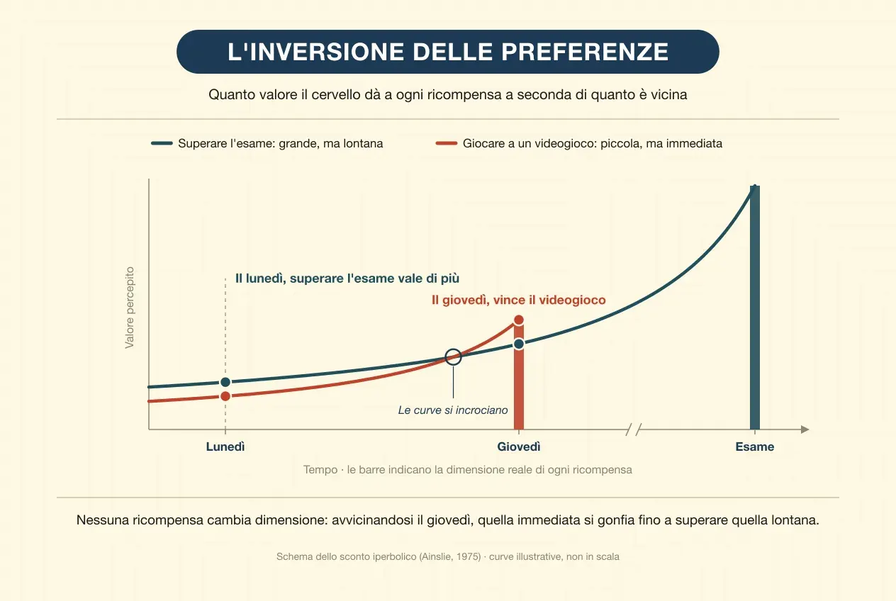 Grafico dell'inversione delle preferenze. Sull'asse orizzontale, il tempo: lunedì, giovedì ed esame, con un'interruzione che comprime il tratto finale; su quello verticale, il valore percepito. Due barre indicano la dimensione reale di ogni ricompensa: superare l'esame, alta e alla fine, e giocare a un videogioco, più bassa e il giovedì. Da ogni barra parte verso sinistra una curva con il valore che quella ricompensa ha vista da prima. Il lunedì la curva dell'esame sta sopra; poco prima del giovedì le curve si incrociano, e il giovedì quella del videogioco resta sopra. Nessuna ricompensa cambia dimensione: avvicinandosi il giovedì, quella immediata si gonfia fino a superare quella lontana.