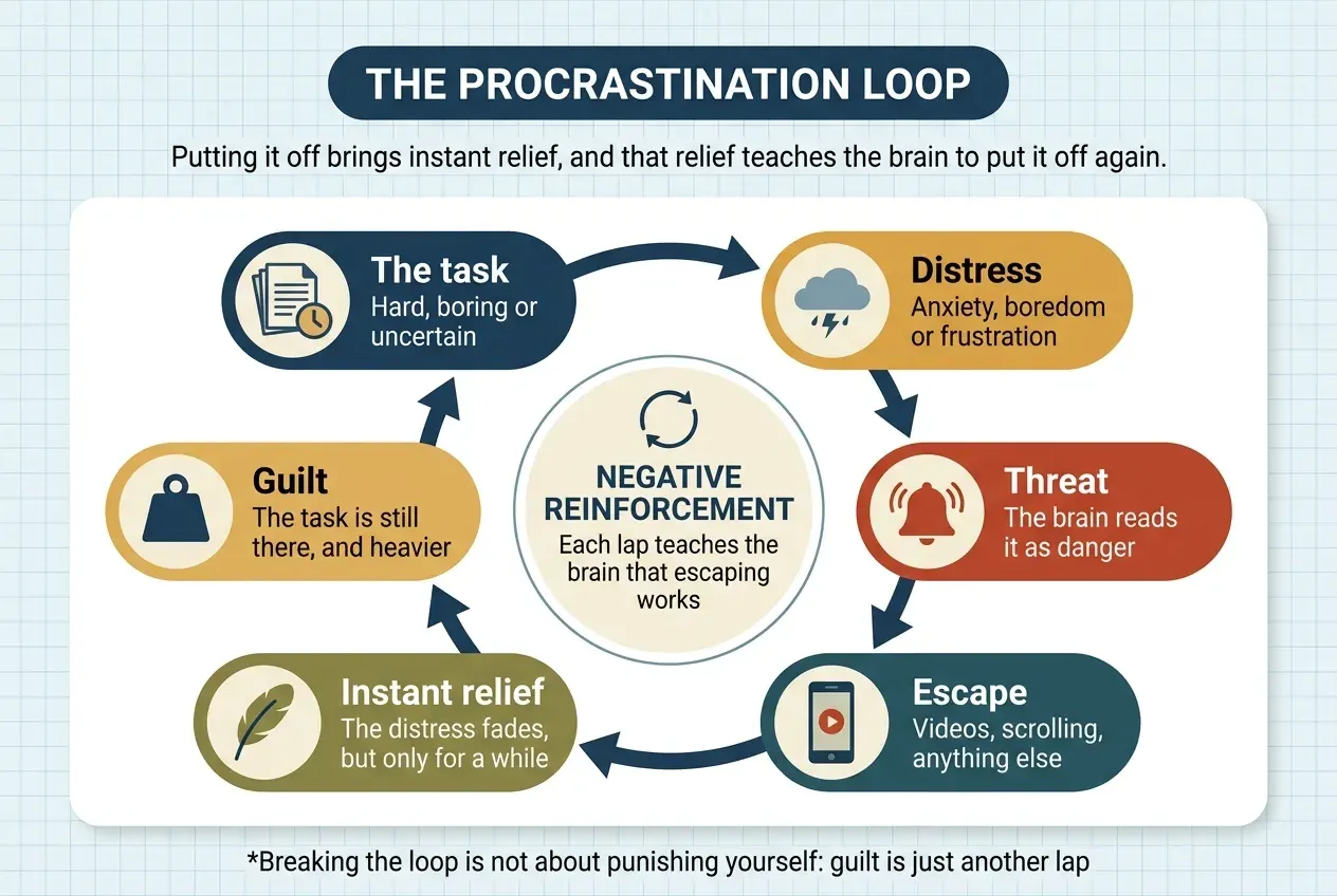 Circular diagram of the procrastination loop: six steps joined by clockwise arrows. The task, hard, boring or uncertain; distress, in the form of anxiety, boredom or frustration; threat, because the brain reads it as danger; escape, into videos, scrolling or anything else; instant relief, because the distress fades, but only for a while; and guilt, because the task is still there and heavier, which leads back to the start. In the centre, negative reinforcement: each lap teaches the brain that escaping works. At the foot, a warning: breaking the loop is not about punishing yourself, because guilt is just another lap.